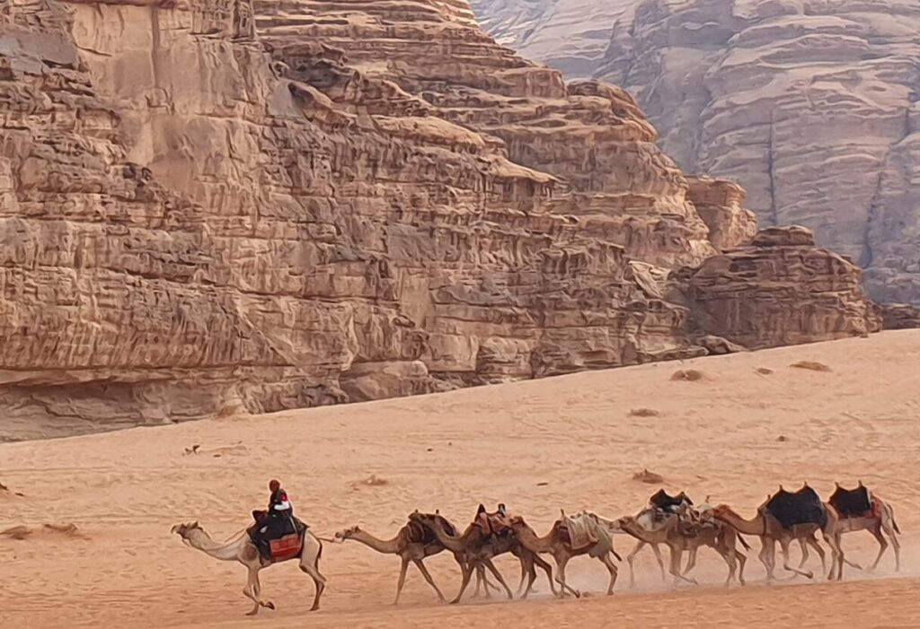 jordan-travel-petra-camel