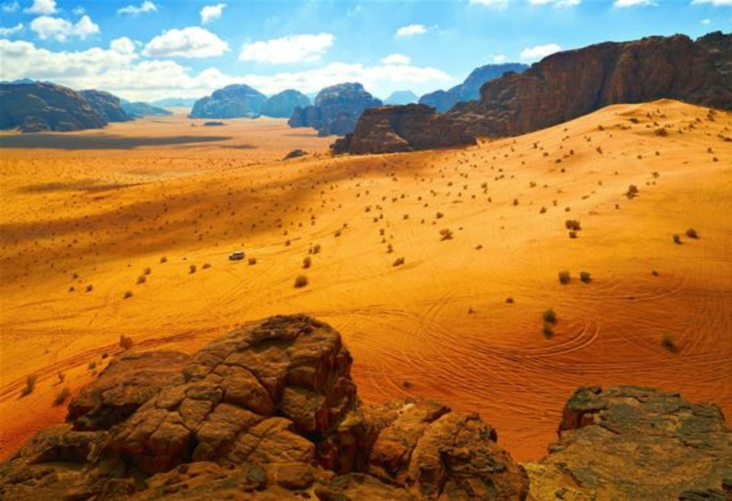 nature-of-wadi-rum-on-a-day-trip