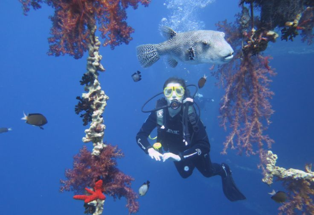 the-girl-dive-in-aqaba-jordan