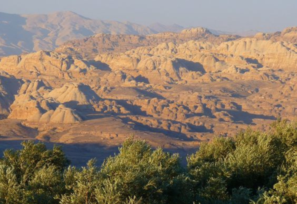 beautiful-view-tour-in-Jordan