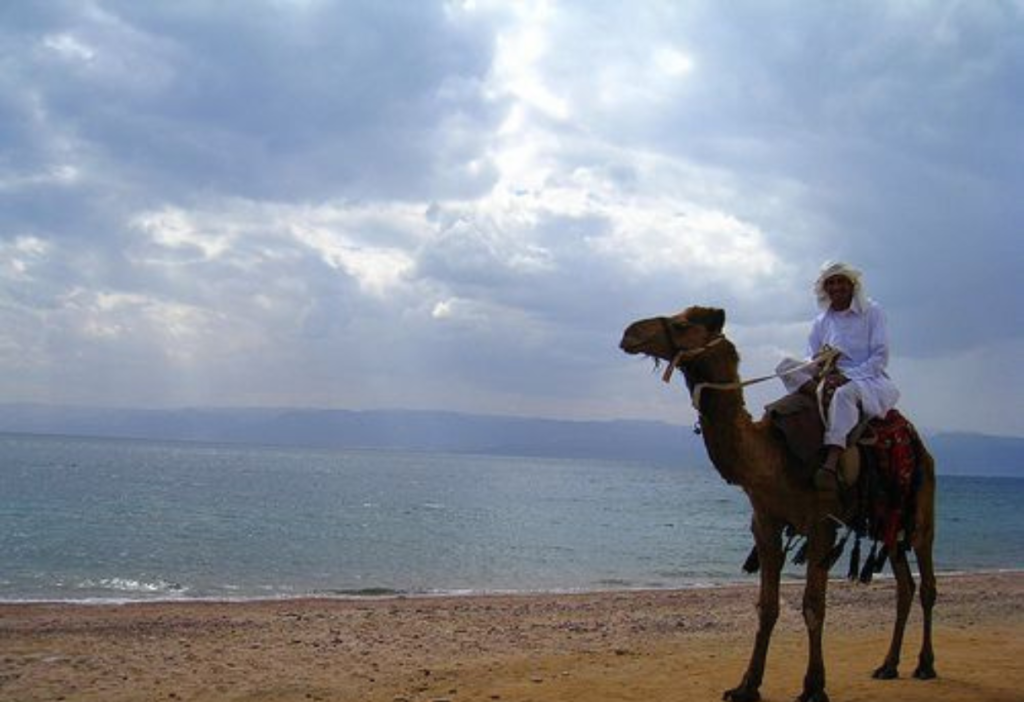 camel-raide-aqaba-beach-red-sea-in-jordan